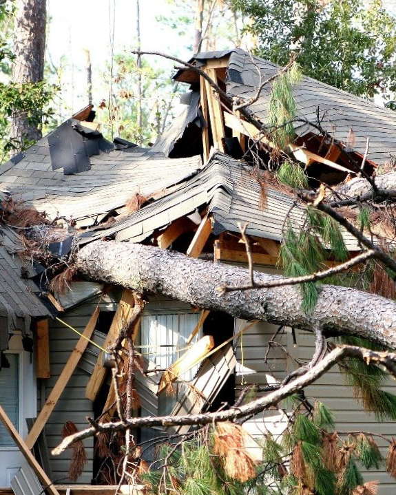 Wind Restoration - 3