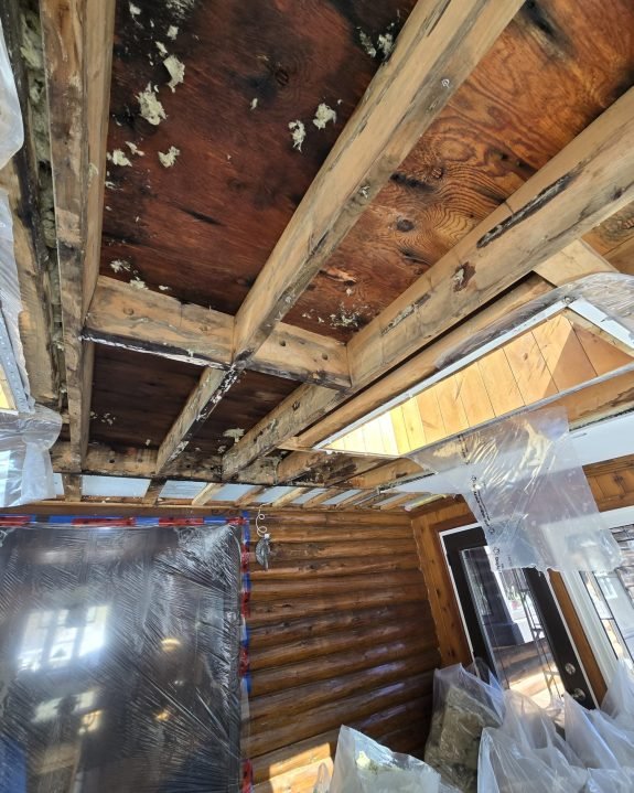 371387A8-72A0-416C-942E-2C9D0DC5CEDD