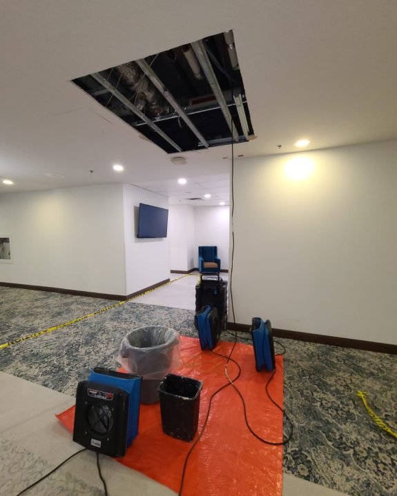 6CF77519-D341-4E5F-BD8B-4D1CEAD94E25