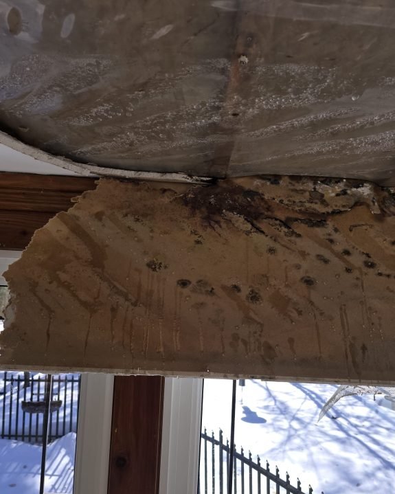 7B33C497-72A9-4ECB-B1F0-7FEAFE8F7370