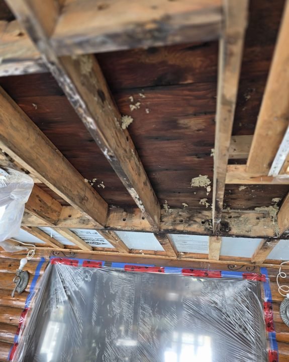 881ACA57-31A1-49BE-99A3-63CA9C7988D2