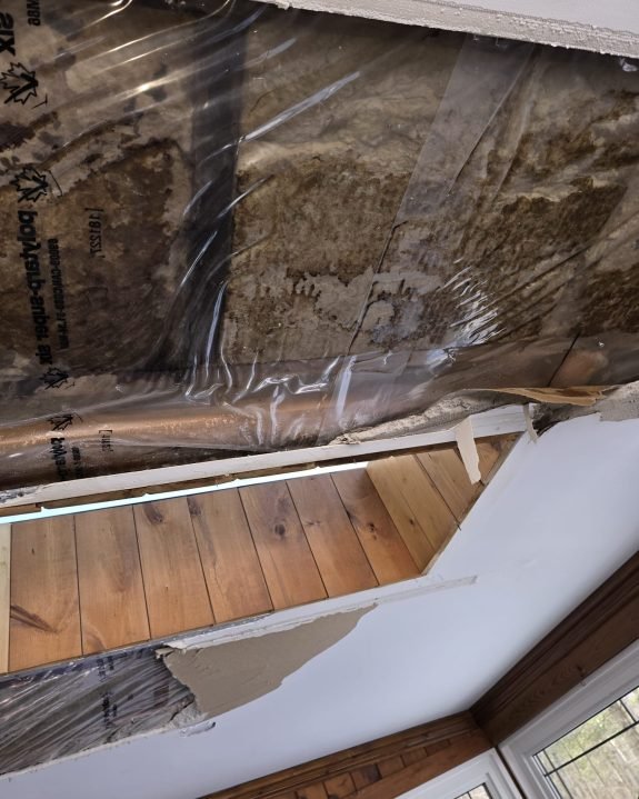 A66ED585-556B-4639-A8B4-42D9106AE5FE