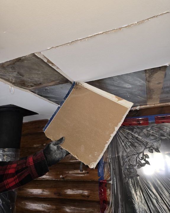 C07346DB-C783-42E2-8979-586E8AA1674F