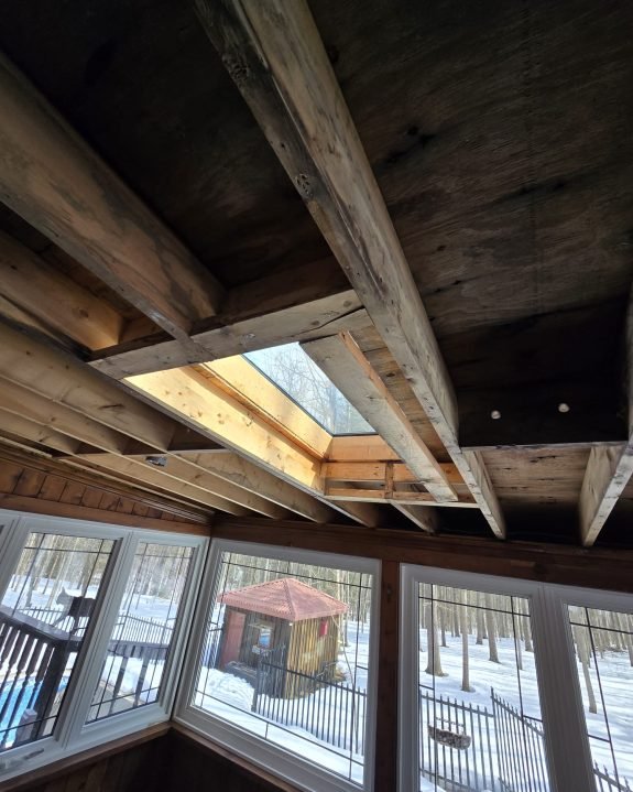 C3723D1C-F414-42C3-B295-944124A45F2E