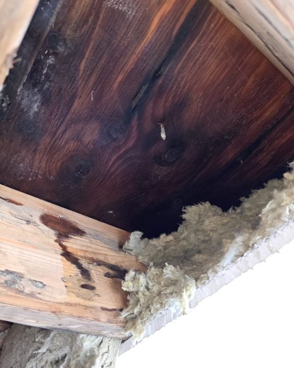 EB42462B-27A8-4AAD-92C7-FBFB9032B6FD